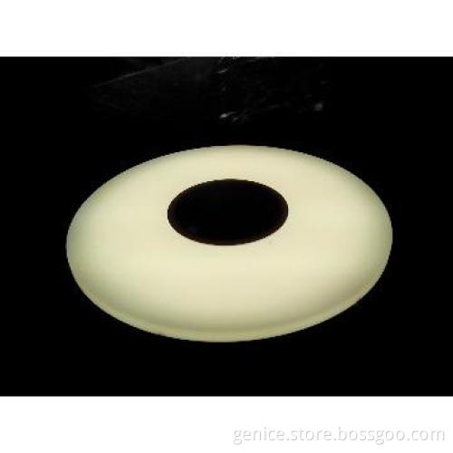 remote control LED ceiling light with sleep mode and night light